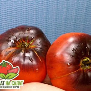 Чёрная Русская роза