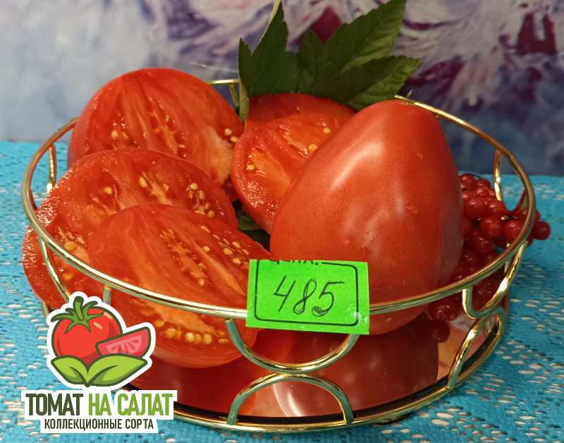 485-1 Знаменитая Клубника миссис Шлаубах