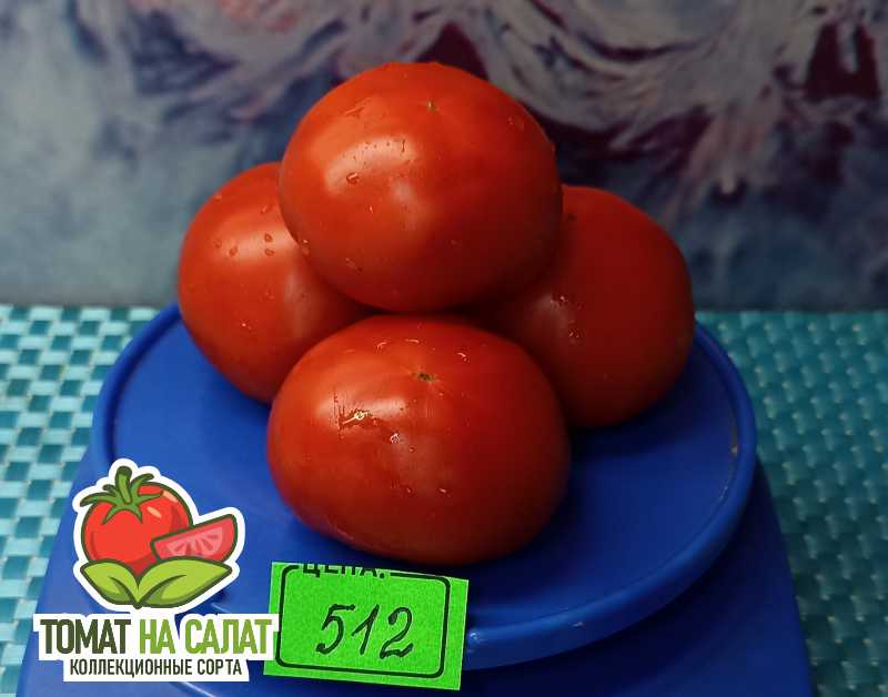 512-2 Много красного