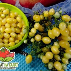 Сумасшедшие вишни Барри