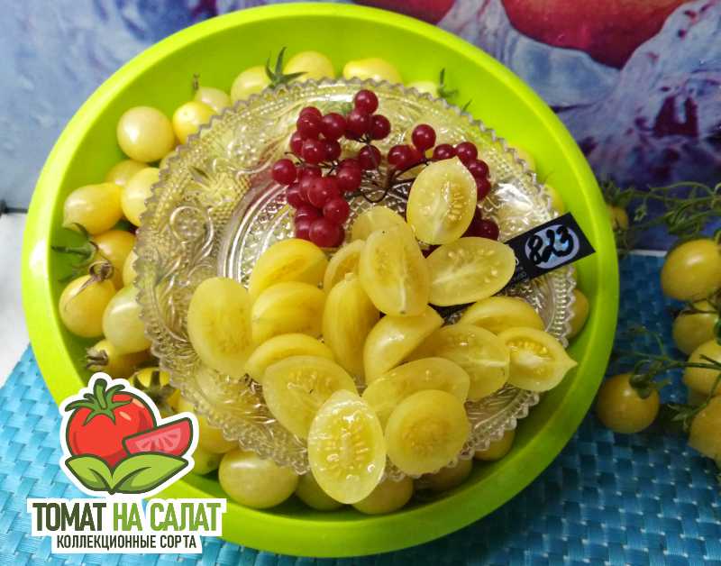 823-6 Сумасшедшие вишни Барри