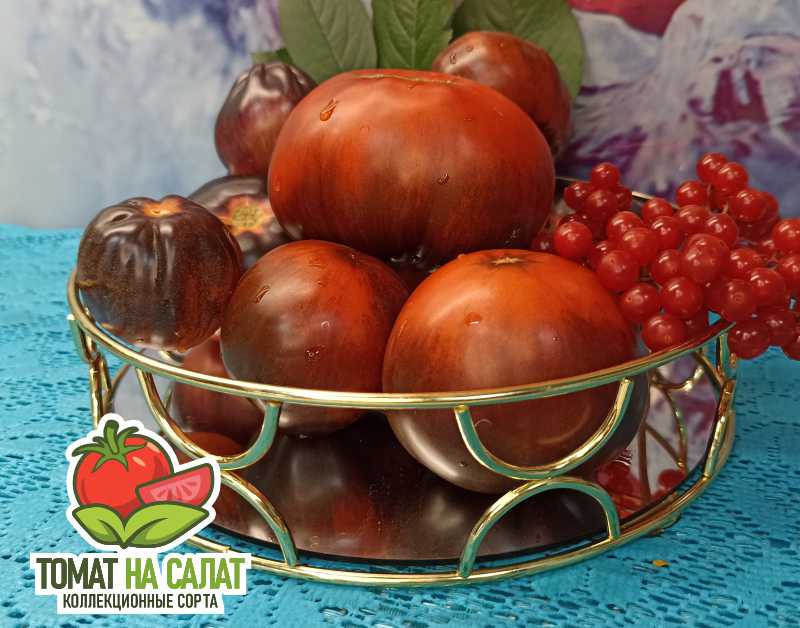 1121 Синяя груша