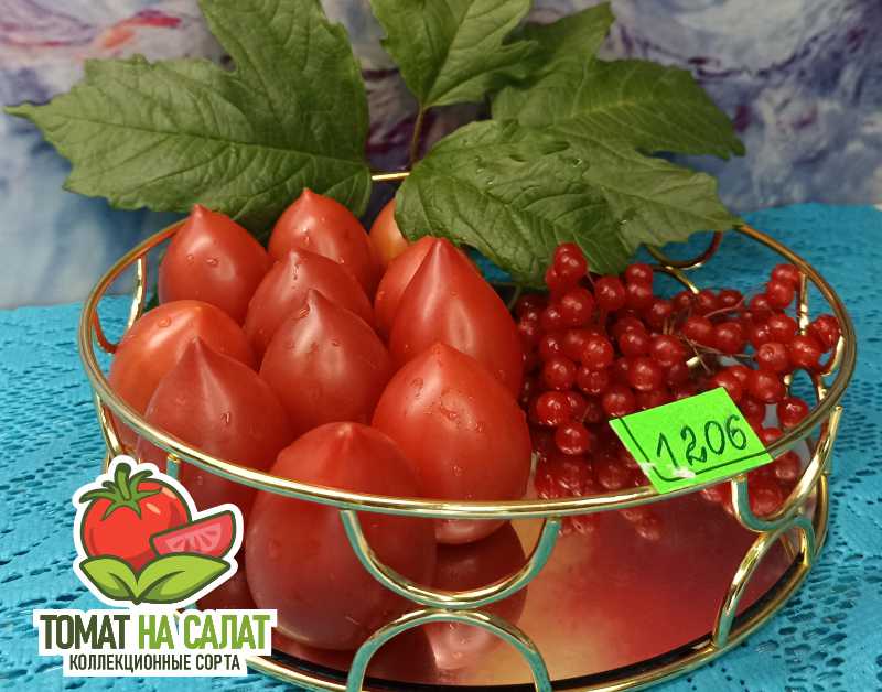 1206 Микро-сердце
