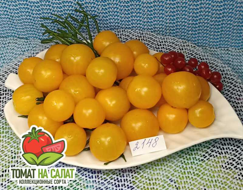 2148 Жёлтый Медовец