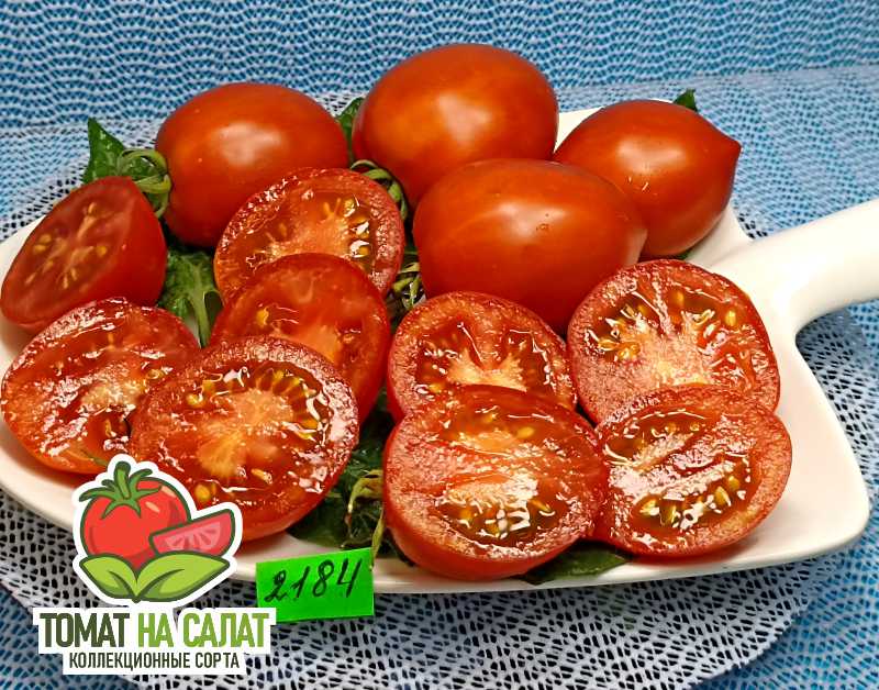 2184-1 Калькутная Полька Дон Жуана