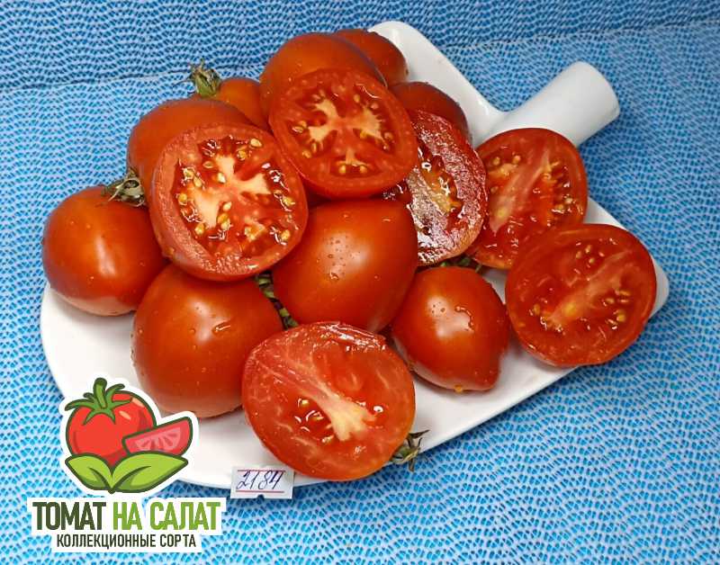 2184-7 Калькутная Полька Дон Жуана