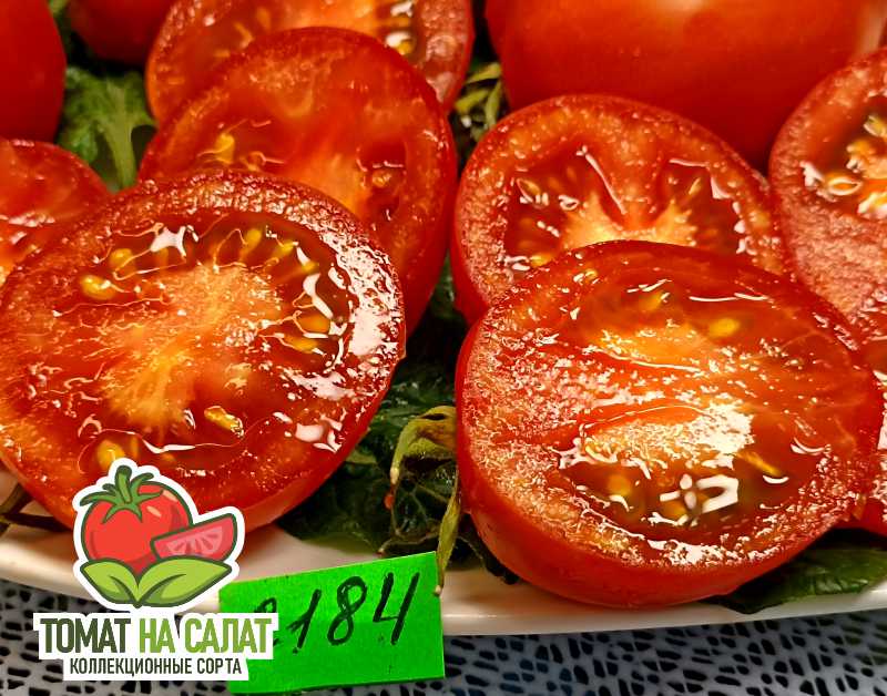 2184 Калькутная Полька Дон Жуана
