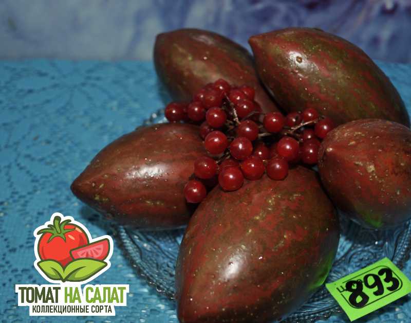 893 Коготь кабана