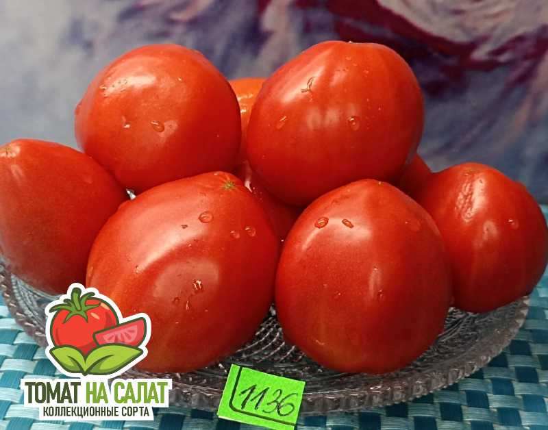 1136-1 Немецкая красная клубника