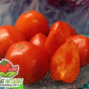 Немецкая красная клубника