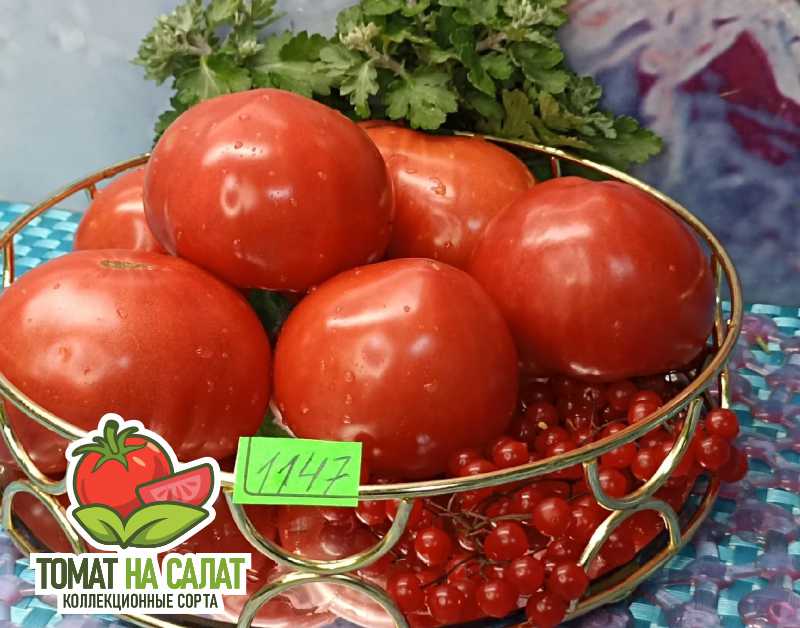 1147-2 Сладкое сердце Шерри