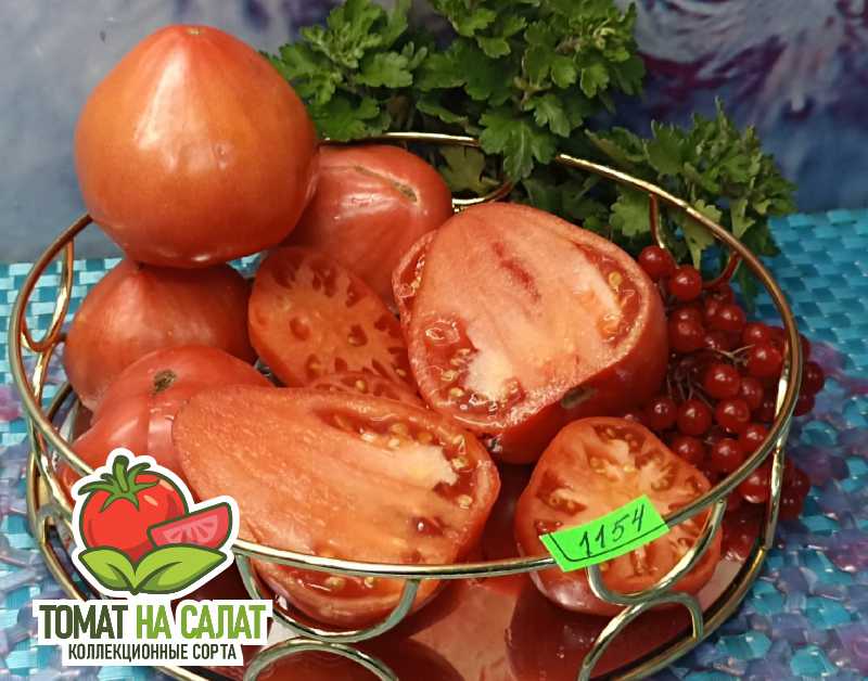 1154-2 Сладкое сердце Бредли