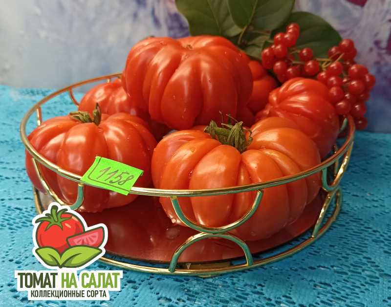 1158 Плиссированный сердолик