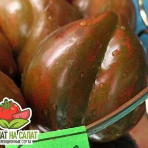 Сердце Марши