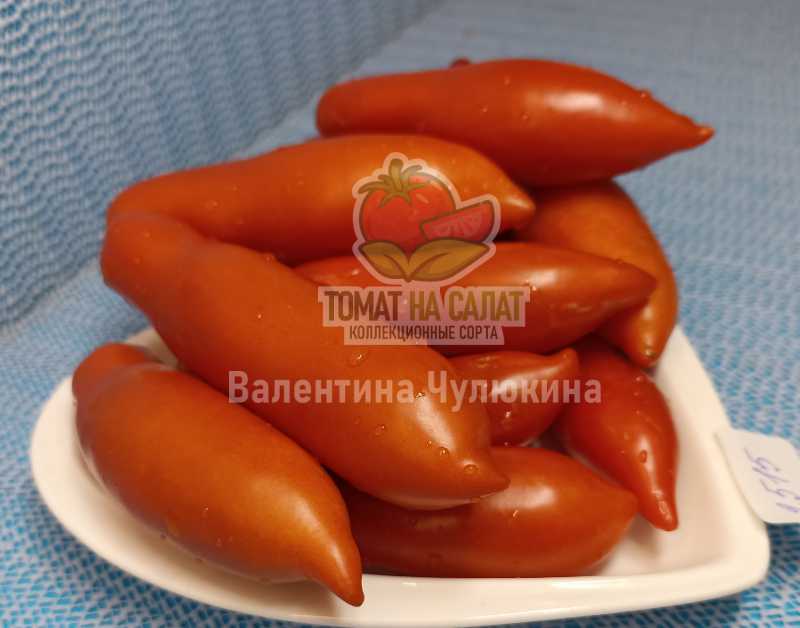 2515-7 Стрелка