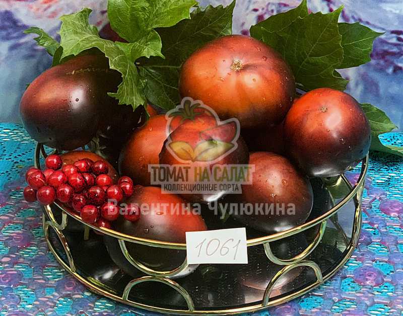 1061 Ла Кадеро
