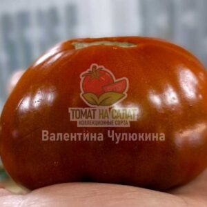 Припудренное сердце терракотовое