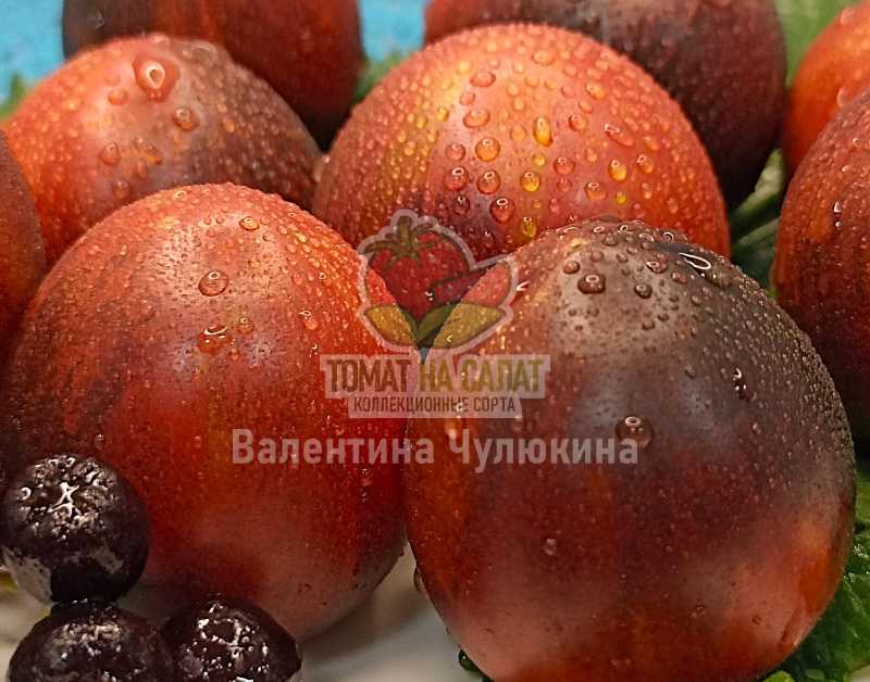 3057-4 Сказочный гламур /блеск