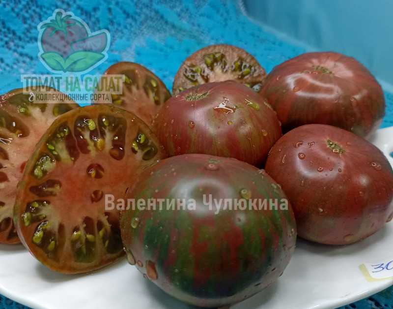 3020-3 Гном Лепрекон Лёня