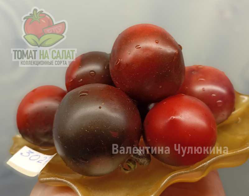 3027-1 Патио Блэк