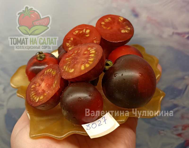 3027 Патио Блэк