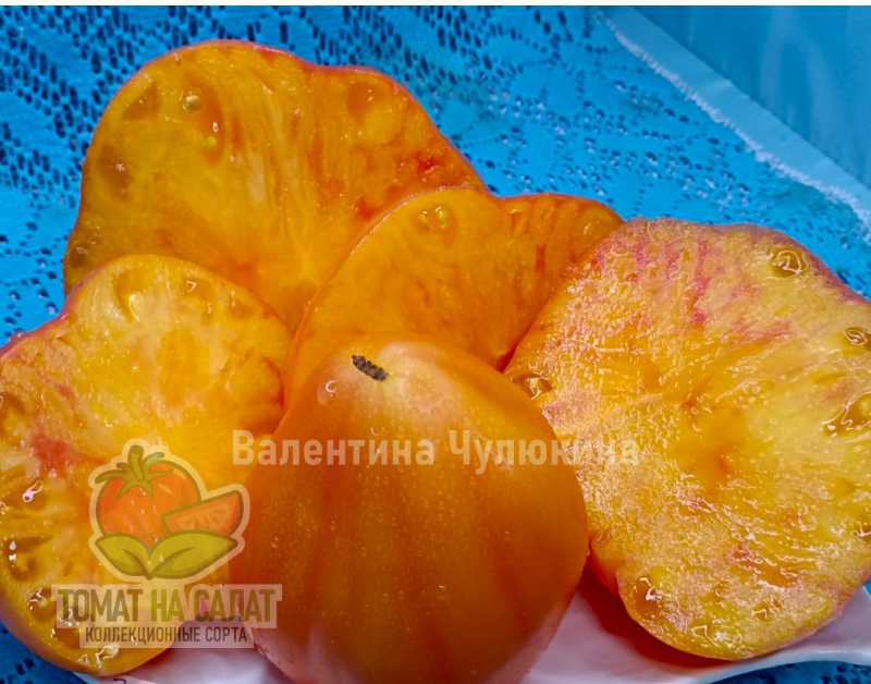 3070-3 Солнечный гурман