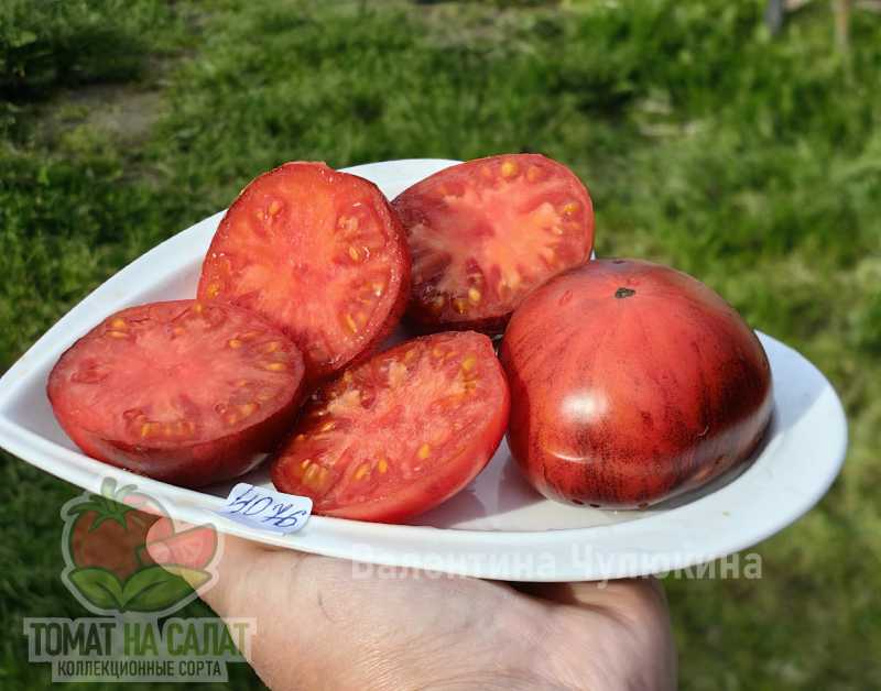 4076-6 Гранатовый шёлк