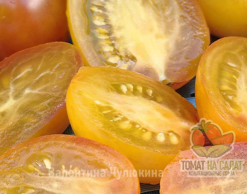 4110-12 Янтарный бунт